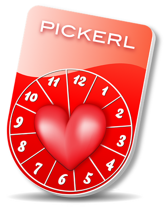 Pickerl Überprüfung